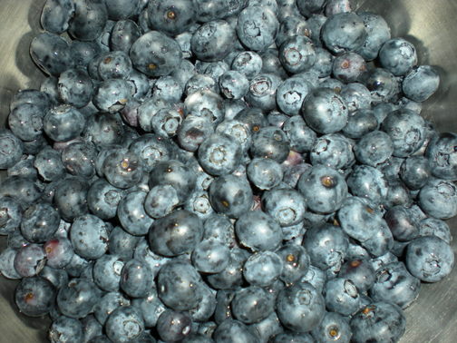 Blueberry Pineapple Piña Colada Pie Pie